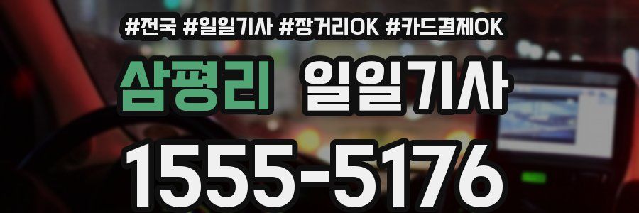 삼평리 일일기사