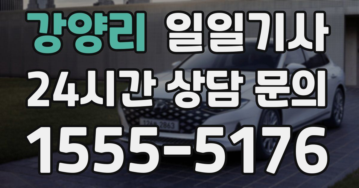 일일대리기사