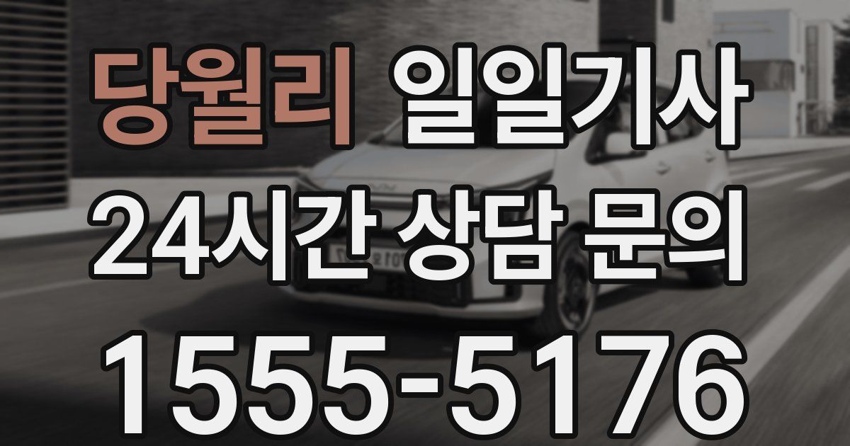 일일대리기사