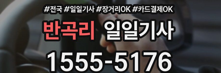 반곡리 일일기사