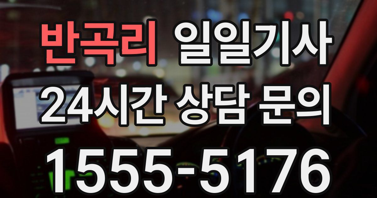 일일대리기사
