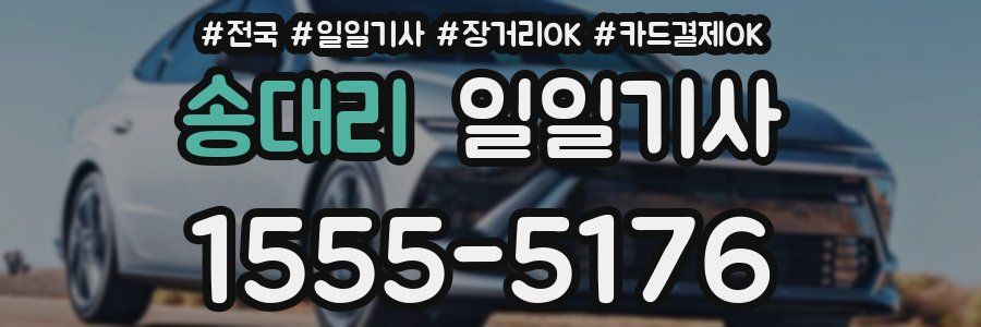 송대리 일일기사