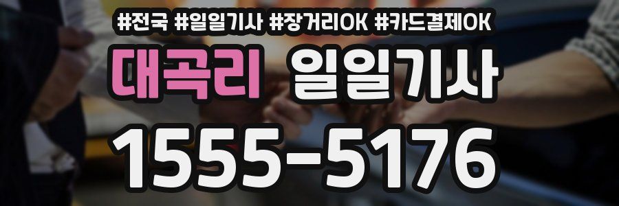 대곡리 일일기사