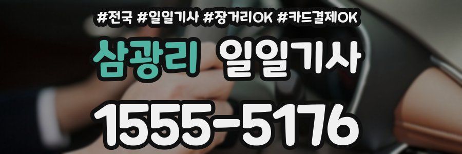 삼광리 일일기사