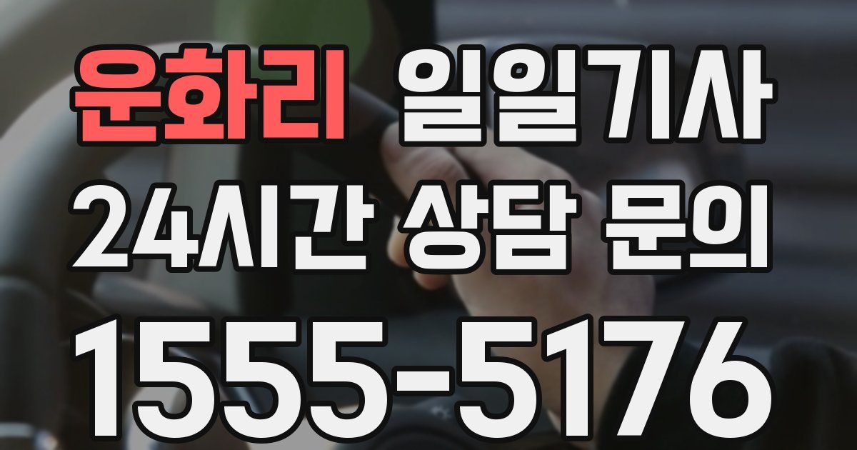 일일대리기사