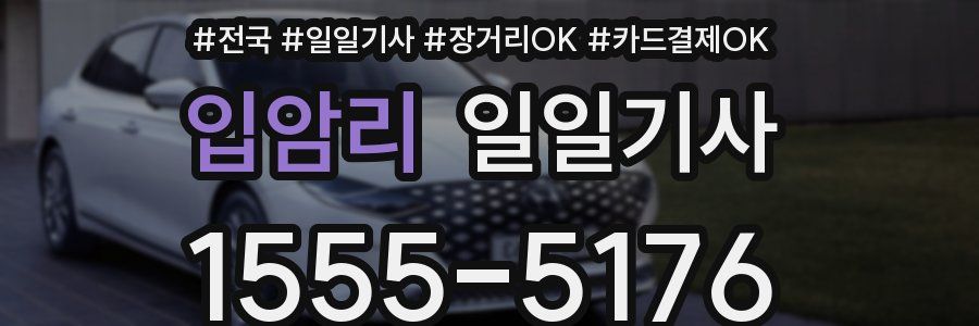 입암리 일일기사