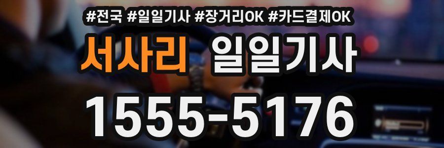 서사리 일일기사