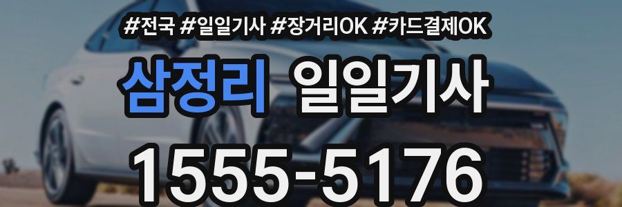 삼정리 일일기사