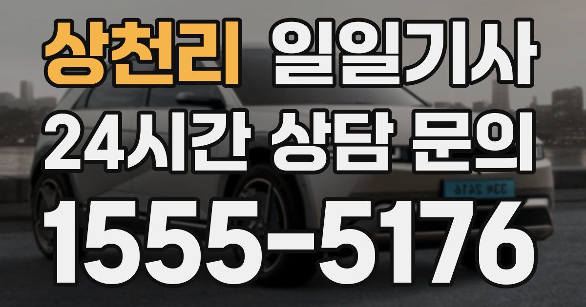 일일대리기사