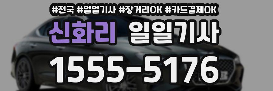 신화리 일일기사