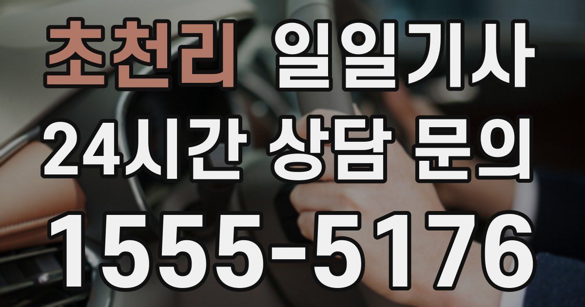 일일대리기사