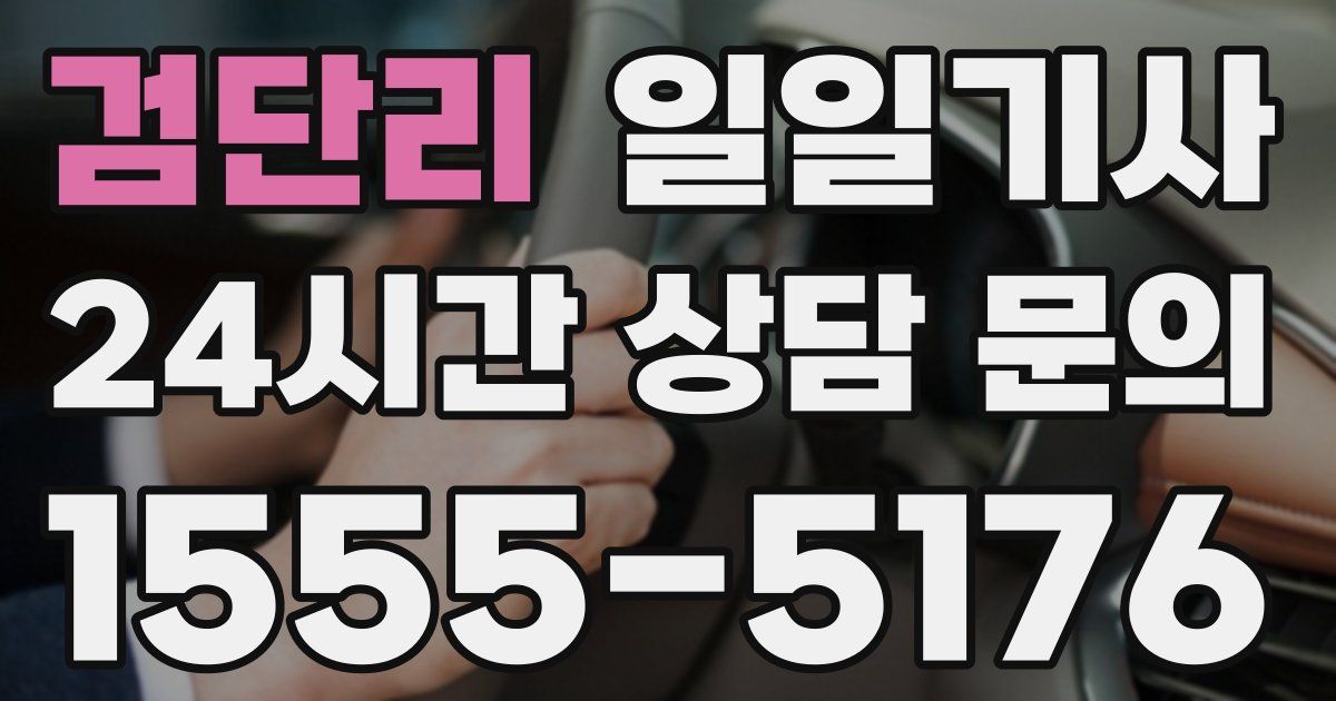 일일대리기사