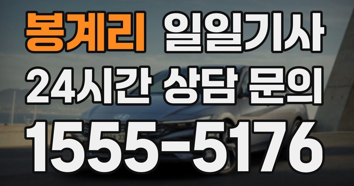 일일대리기사