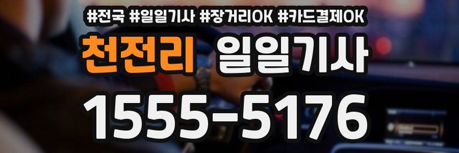 천전리 일일기사