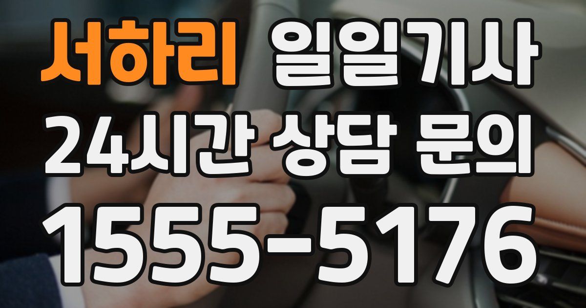 일일대리기사