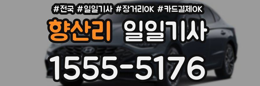 향산리 일일기사