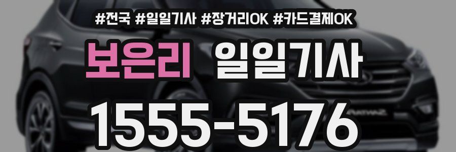 보은리 일일기사