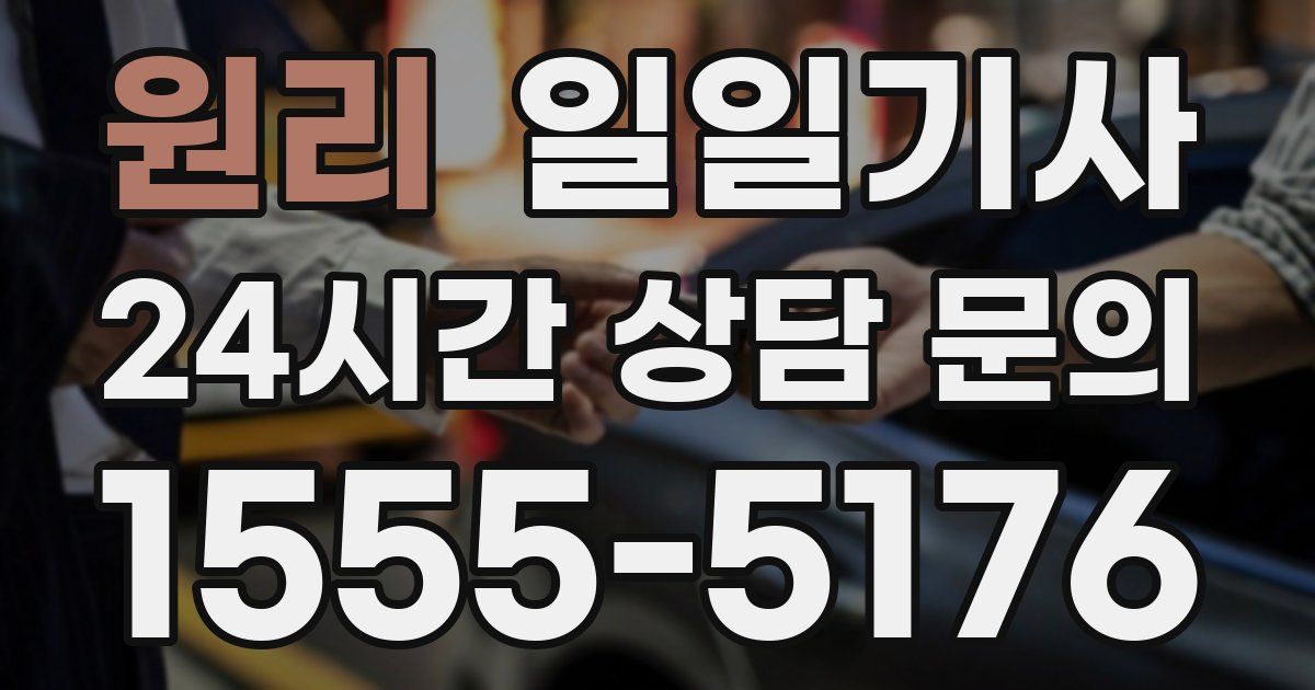 일일대리기사