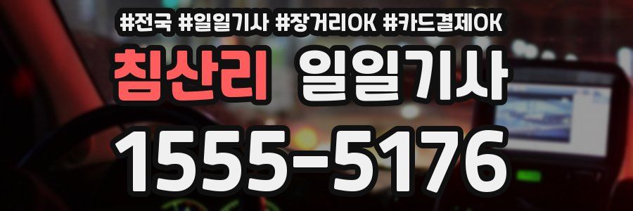 침산리 일일기사