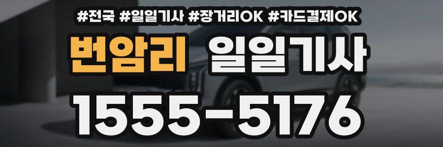 번암리 일일기사