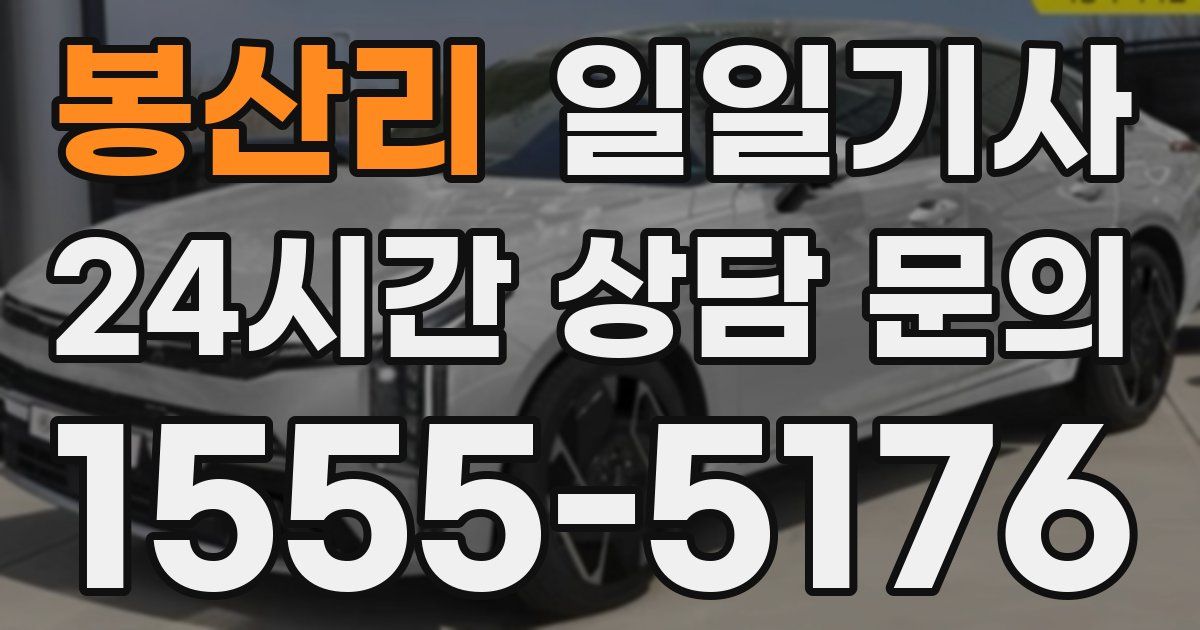 일일대리기사