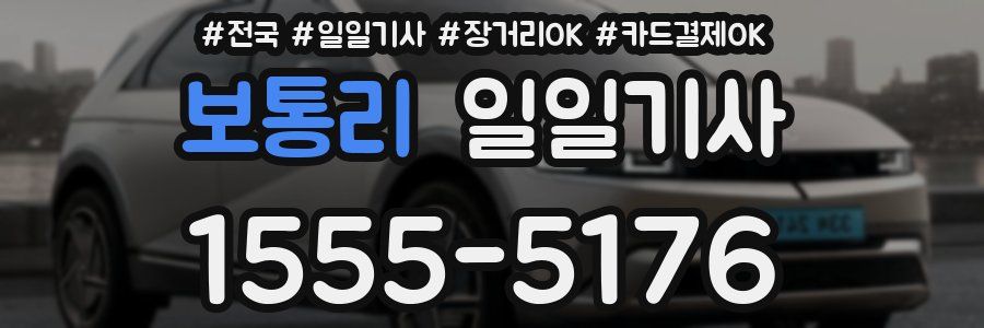 보통리 일일기사