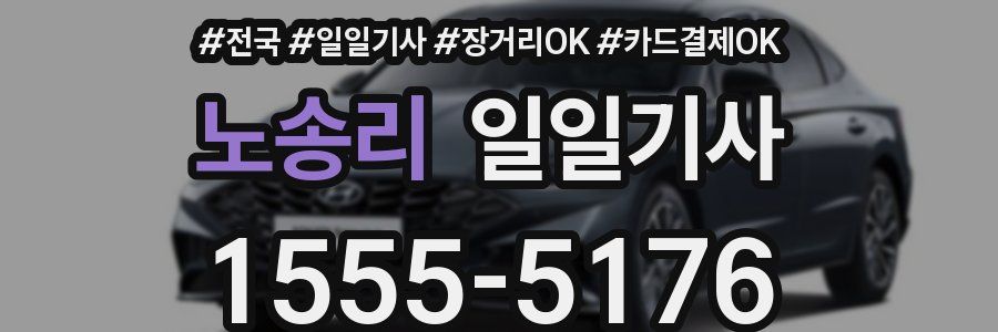 노송리 일일기사