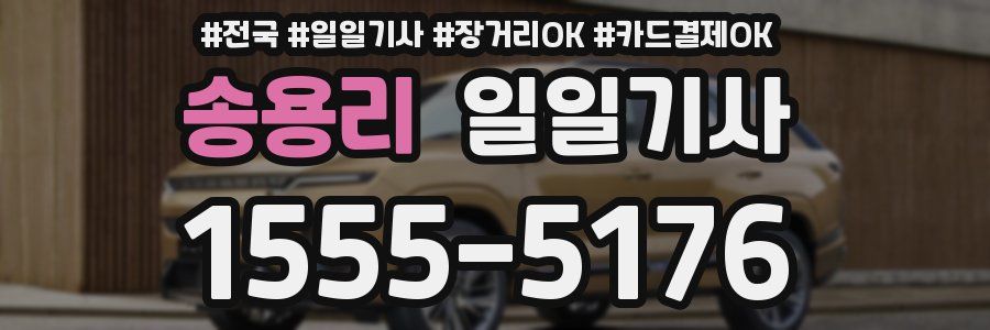 송용리 일일기사