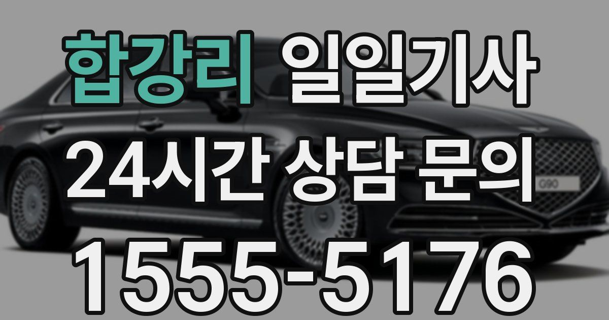 일일대리기사