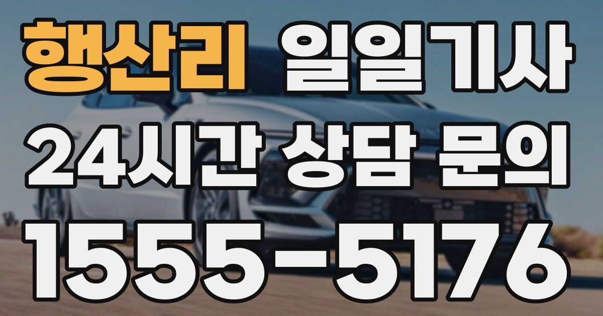 일일대리기사