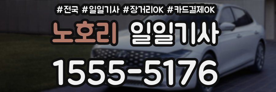 노호리 일일기사