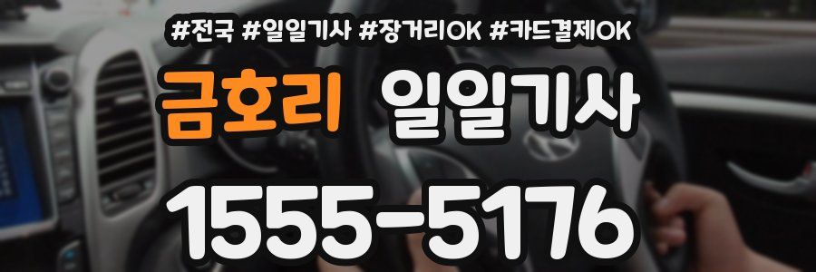 금호리 일일기사