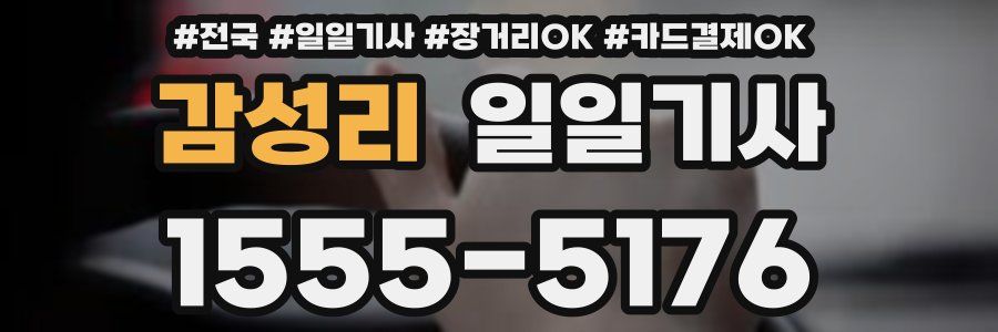 감성리 일일기사