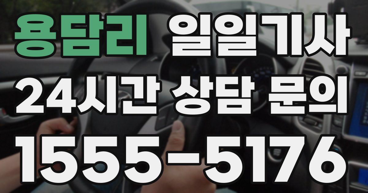 일일대리기사
