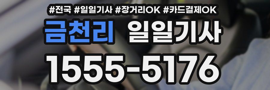 금천리 일일기사