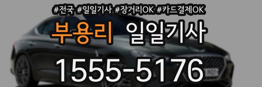 부용리 일일기사