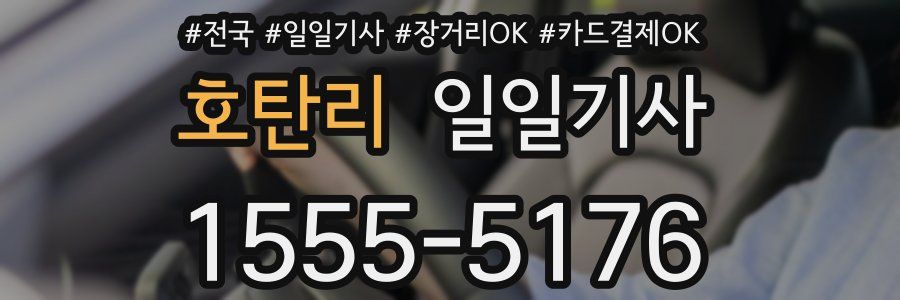 호탄리 일일기사