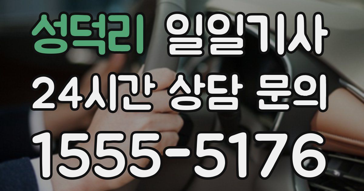일일대리기사