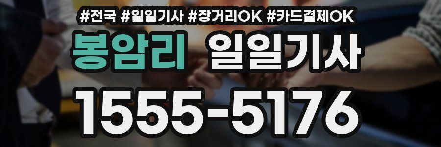 봉암리 일일기사