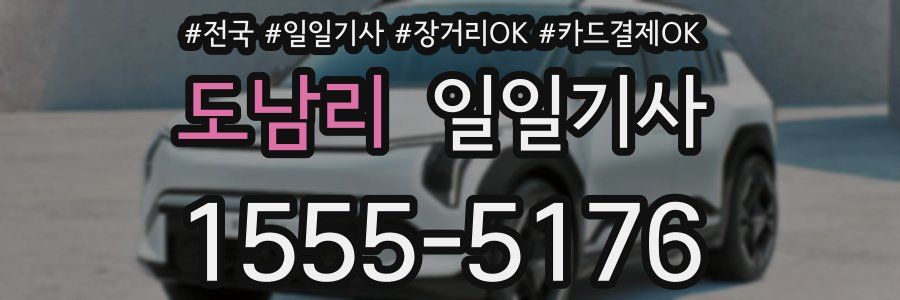 도남리 일일기사