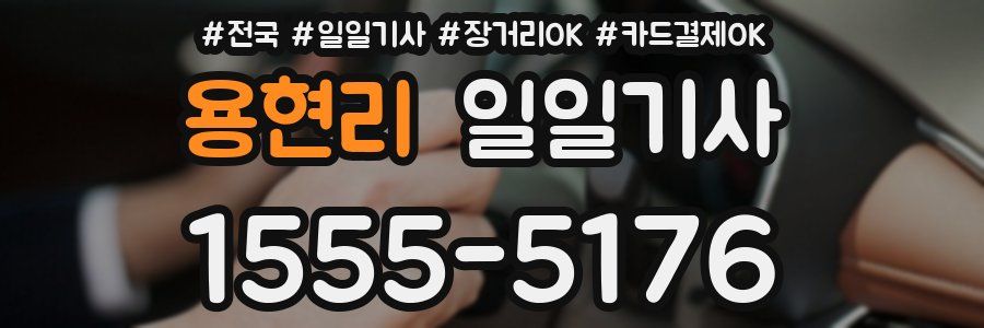 용현리 일일기사