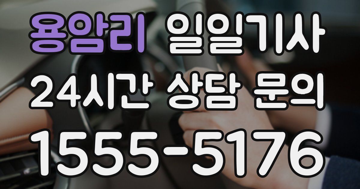 일일대리기사