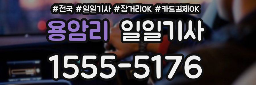 용암리 일일기사