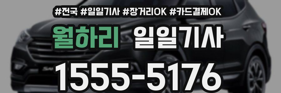 월하리 일일기사