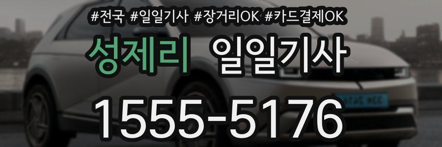 성제리 일일기사