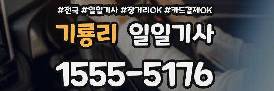 기룡리 일일기사