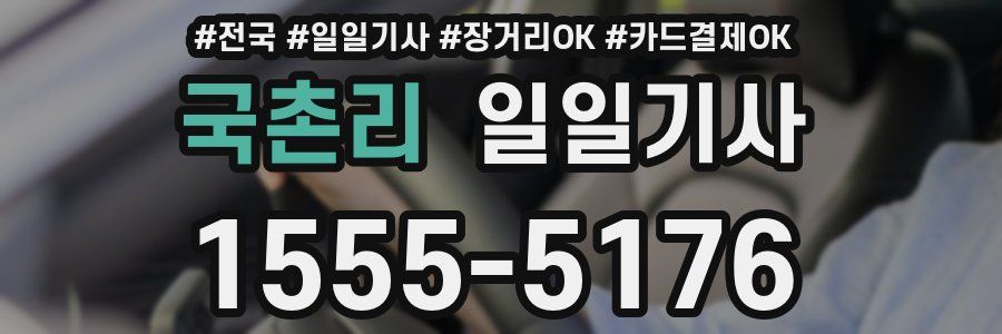 국촌리 일일기사