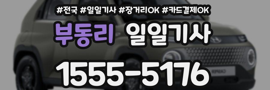 부동리 일일기사
