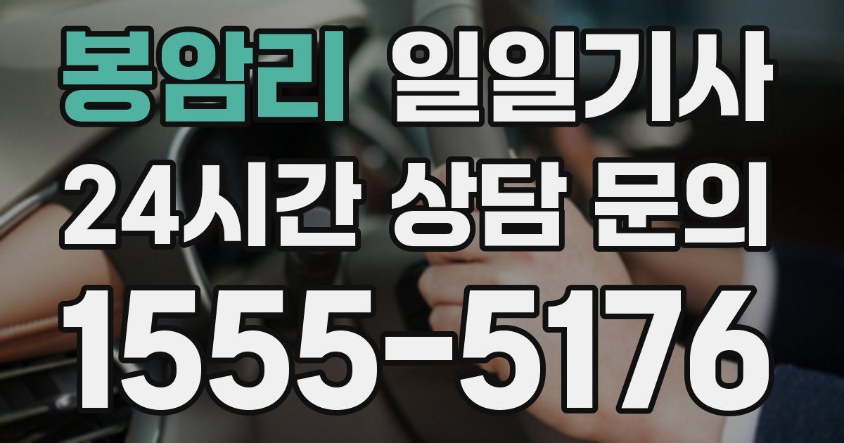 일일대리기사