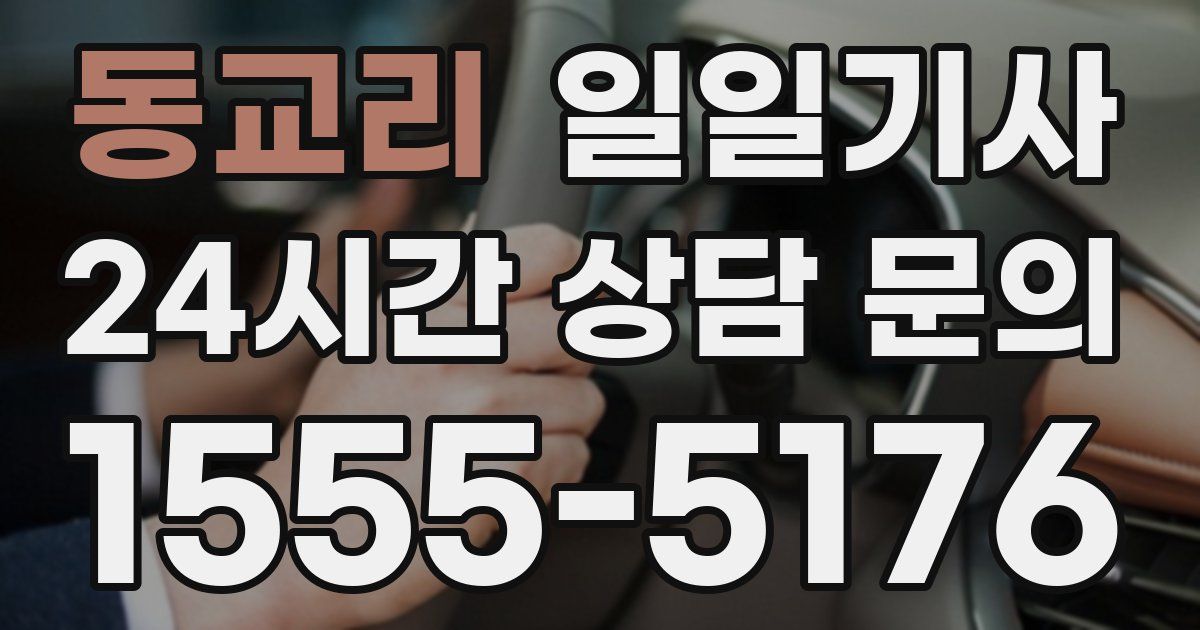 일일대리기사